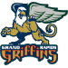 Grand Rapids Griffins 